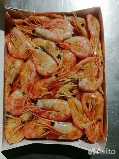 Креветки, Лангустины