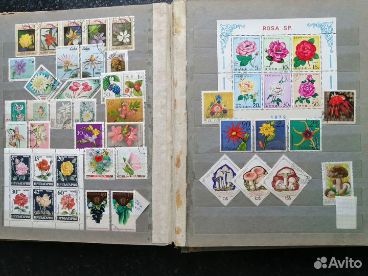 Марки почтовые иностранные,флора и фауна