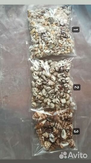 Морские ракушки для resin art