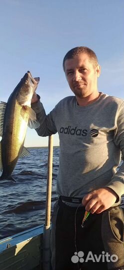 Гид по рыбалке Ладожское озеро рыбалка на судака