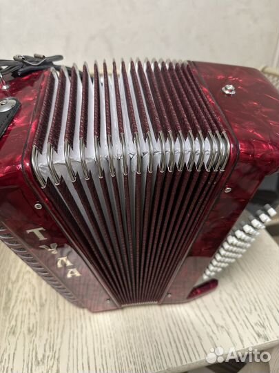 Аккордеон тула