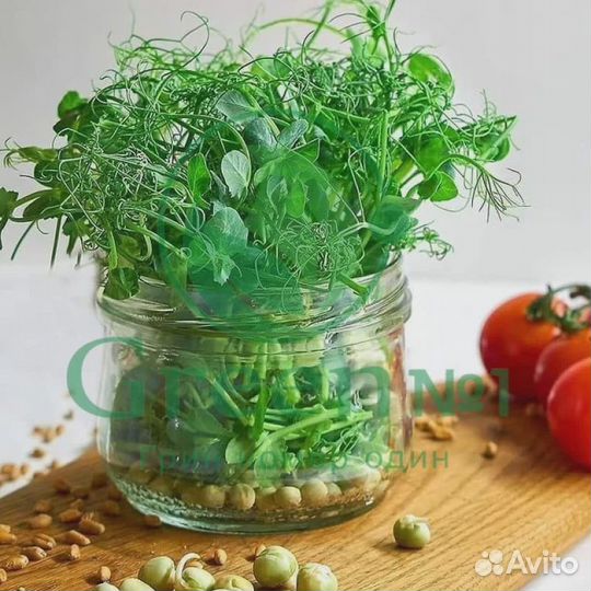 Качественная микрозелень