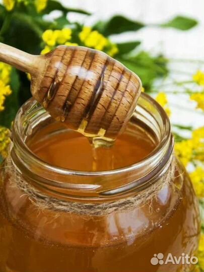Мед подсолнечника оптом