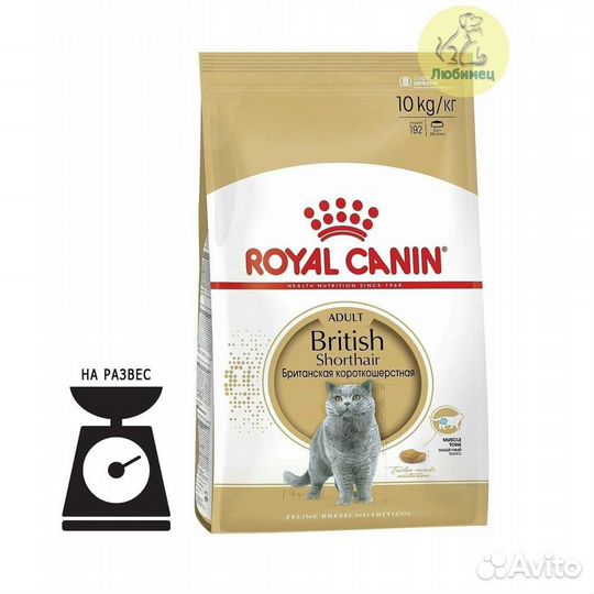 Royal canin british. Роял Канин для британцев состав. Гранулы Роял Канин для британцев. Royal Canin British Shorthair. Royal Canin British Shorthair Adult состав.