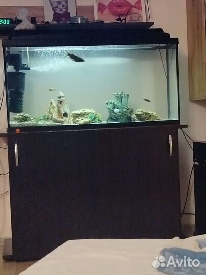 Аквариум 150 литров с тумбой