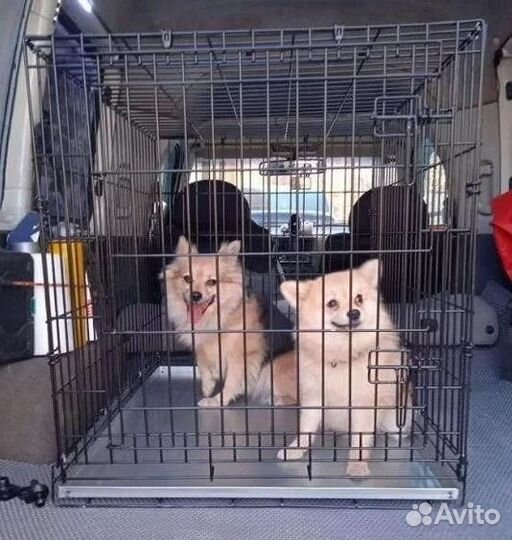 Клетка для собак, вольер