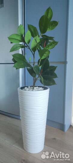 Искусственный фикус (ботаническая копия)