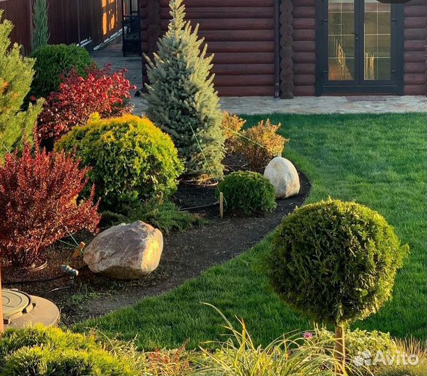 Садовые работы