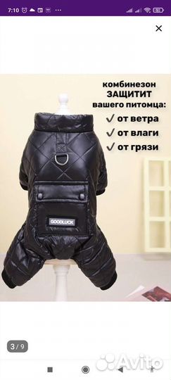 Животные одежда