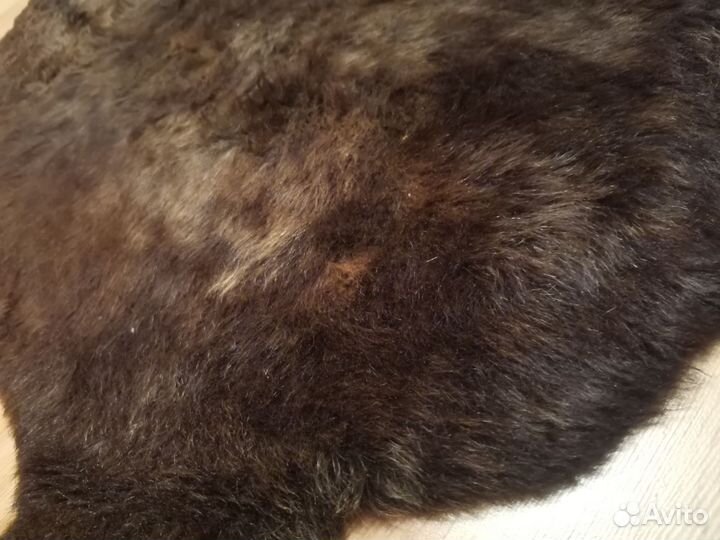 Овечья шкура натуральная