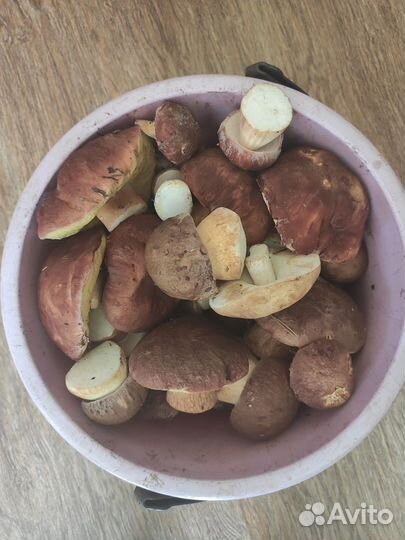 Грибы белые, боровики, маслята, опята и др