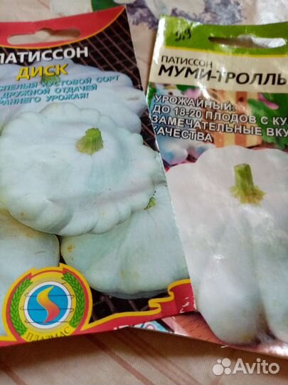 Рассада огурцов, тыквы, кабачков и патиссонов
