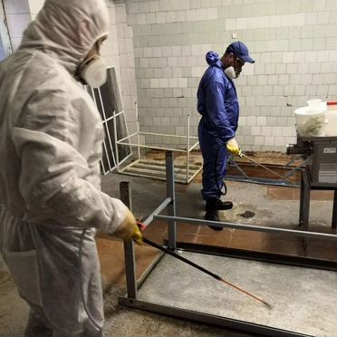 Уничтожение клопов и тараканов. Дезинфекция