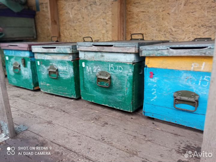 Продам ульи для пчел