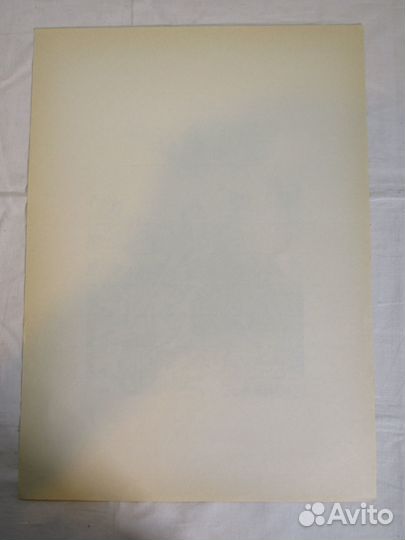 Гравюра старинная литография Дюрер 19-20 век №9749