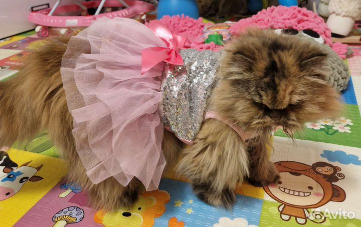 Платье для собаки (кошки) размер XL