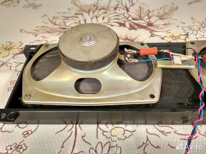 Два динамика 2гд-40-100 установленные на панель