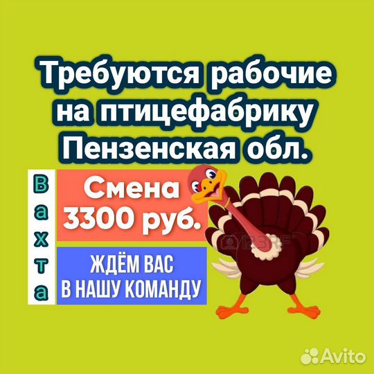 Обвальщик на птицефабрику Пенза