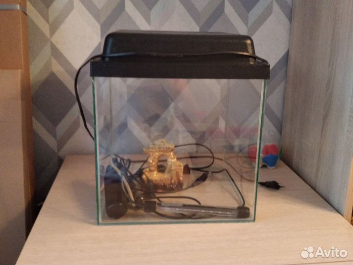 Аквариум