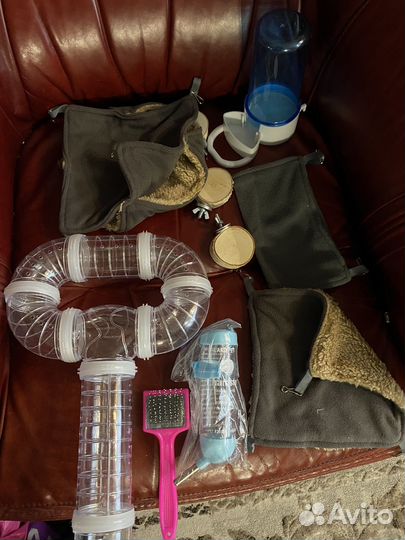 Для крысок)