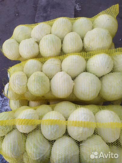 Капуста оптом