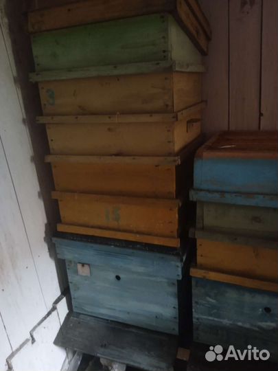 Продам улья 12 рамочные и 10 рамочные
