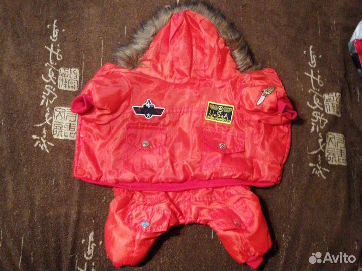 Одежда для маленьких собак