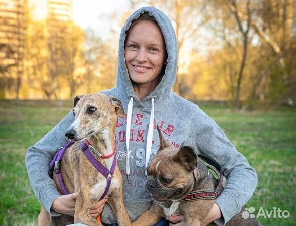 Услуги кинолога с выездом в Спб