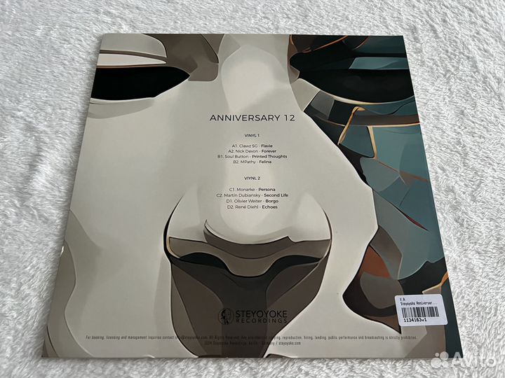 Steyoyoke Anniversary 12 2LP vinyl