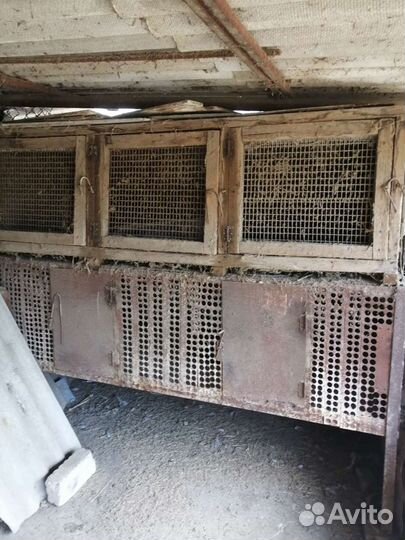 Клетки для нутрий