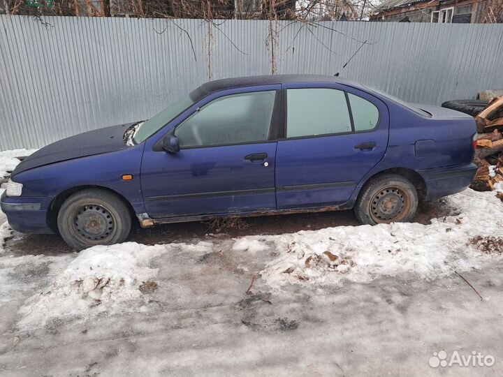 Nissan primera P11 разбор