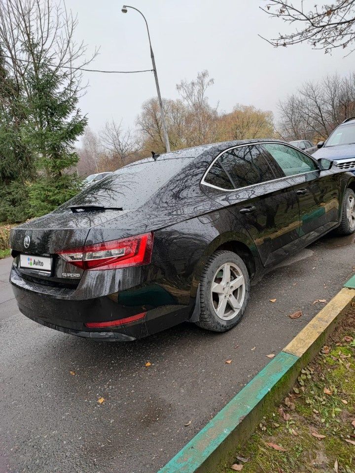 Skoda Superb: фото владельца
