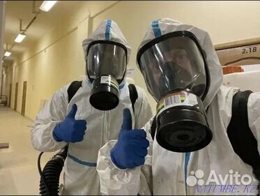 Уничтожение клопов и тараканов, дезинсекция