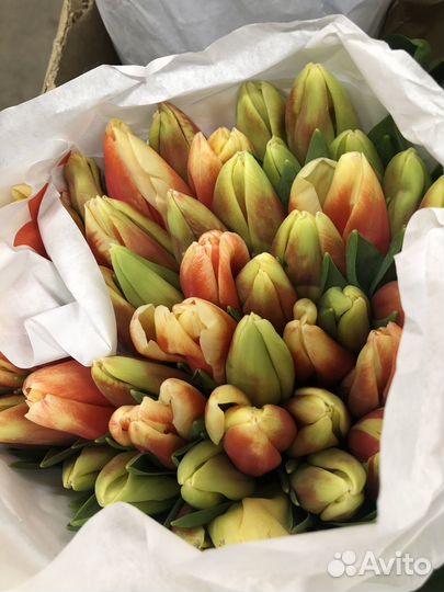 Тюльпаны, букеты, доставка, цветы