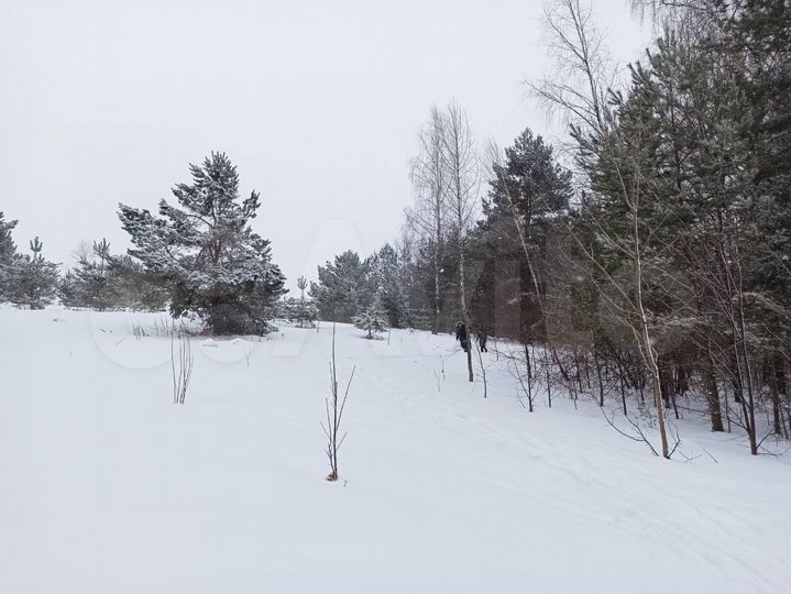 Участок 8,02 га (СНТ, ДНП)