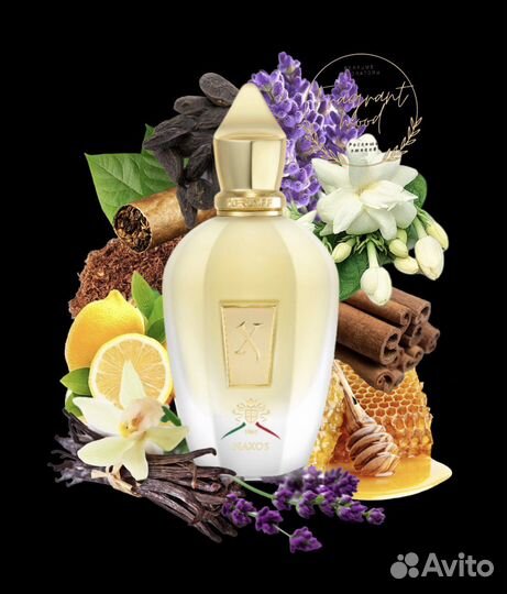 XJ 1861 Naxos Xerjoff 10 мл