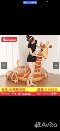 Надувные матрасы и круги