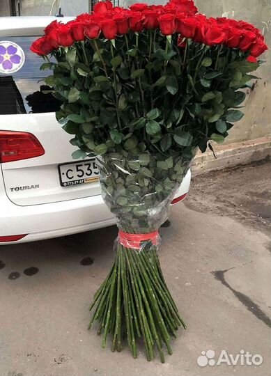 Высокие розы Гигантские розы с доставкой
