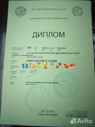 Фотосессии, вязка ксолоитцкуинтли Стандарт (мексик