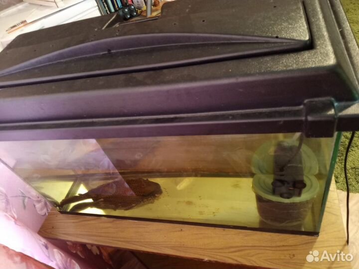 Аквариум 75л с крышкой