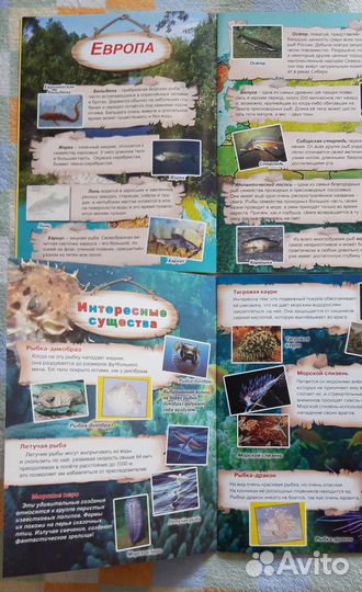 Подводный мир Атлас для детей с наклейками