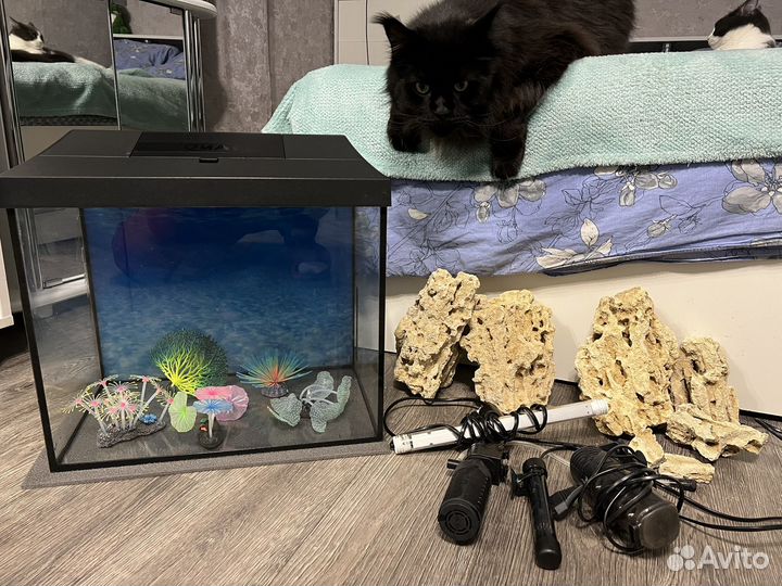 Аквариум со всем необходимым