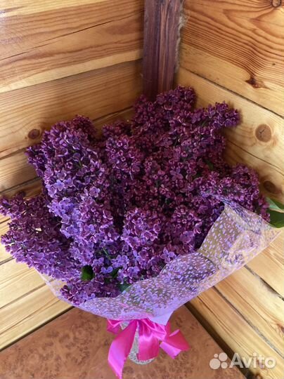 Букет сирени