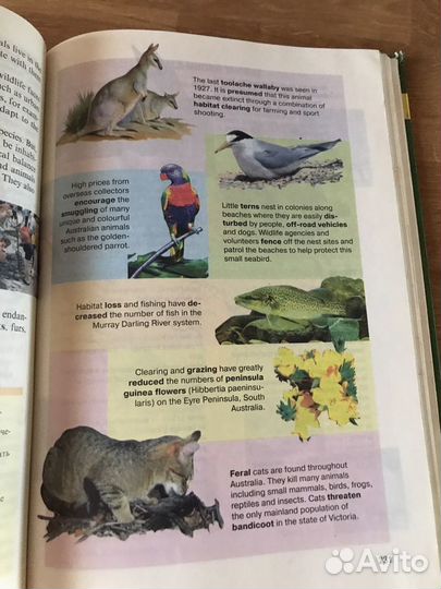 Учебные пособия