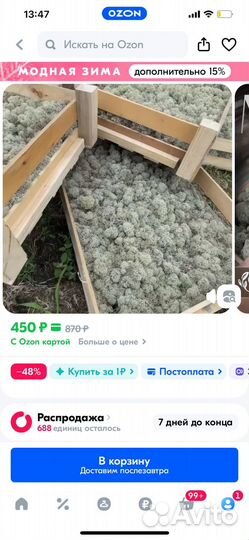 Террариум, корм для улиток и ванная