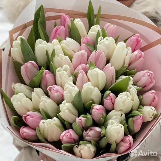 Тюльпаны,букеты из тюльпанов,тюльпан