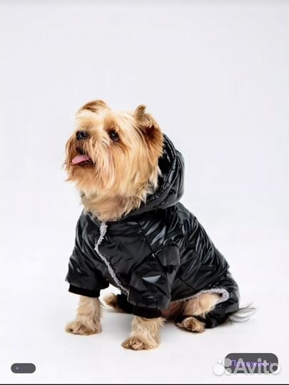 Комбинезон для собак