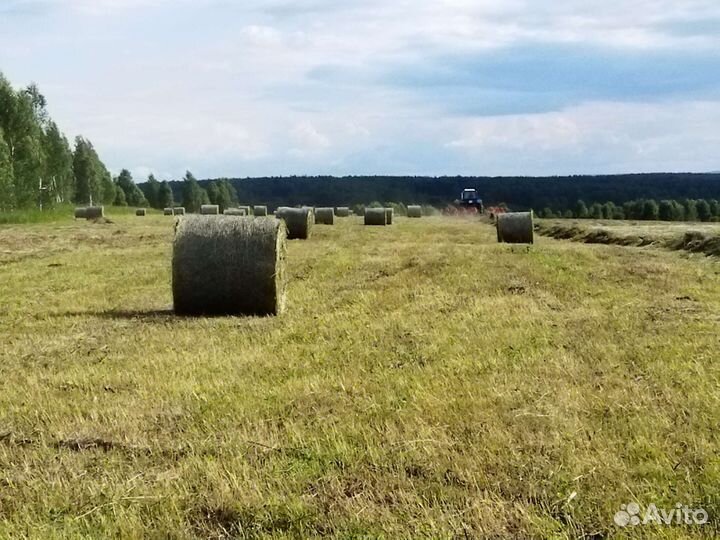 Сено в рулонах 2024. Доставка (Цена договорная)
