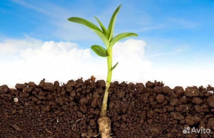 Торфосмесь