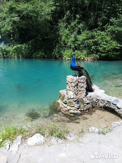 Экскурсии по Абхазии